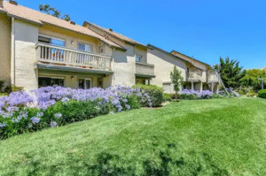 Screenshot 2025-08-14 082814